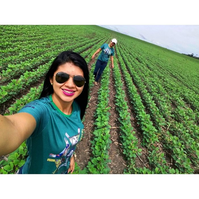 Imagem do dia - Plantio de soja em Santarém (PA). Enviado por Nara Thaysa