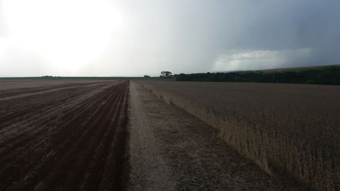 Imagem do dia - Colheita de soja e plantio de milho safrinha em Ipameri (GO), da Família Idem Vaz