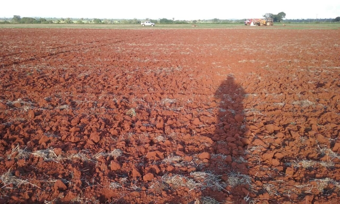 Imagem do dia - Preparo de solo em Cerejeiras (RO), da Família Demarco.