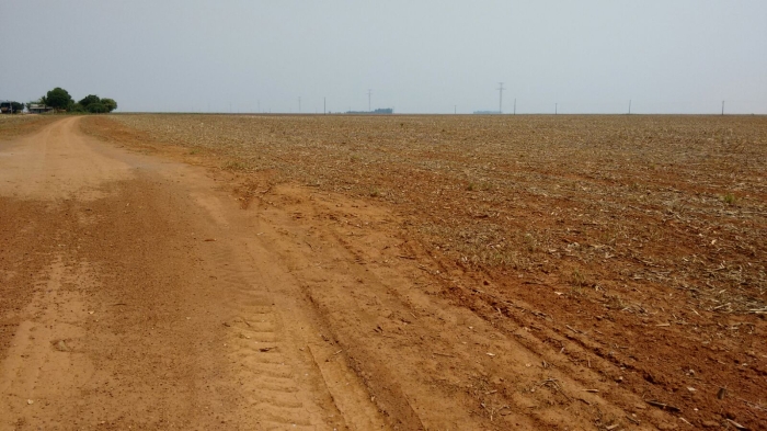Imagem do dia - Produtores aguardam chuvas em Sorriso (MT) para o início do plantio. Enviado por Claudino Tirloni