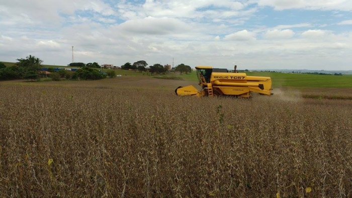 Imagem do dia - Colheita de soja em Itambé (PR). Enviado por Valdir Edemar Fries