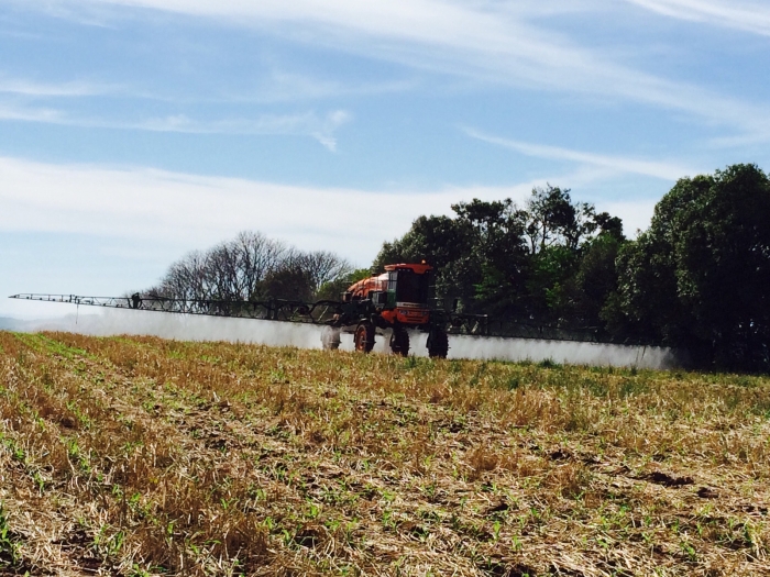 Imagem do dia - Controle de ervas daninhas na cultura de milho em Seberi (RS), na agrícola Irmãos Barbieri