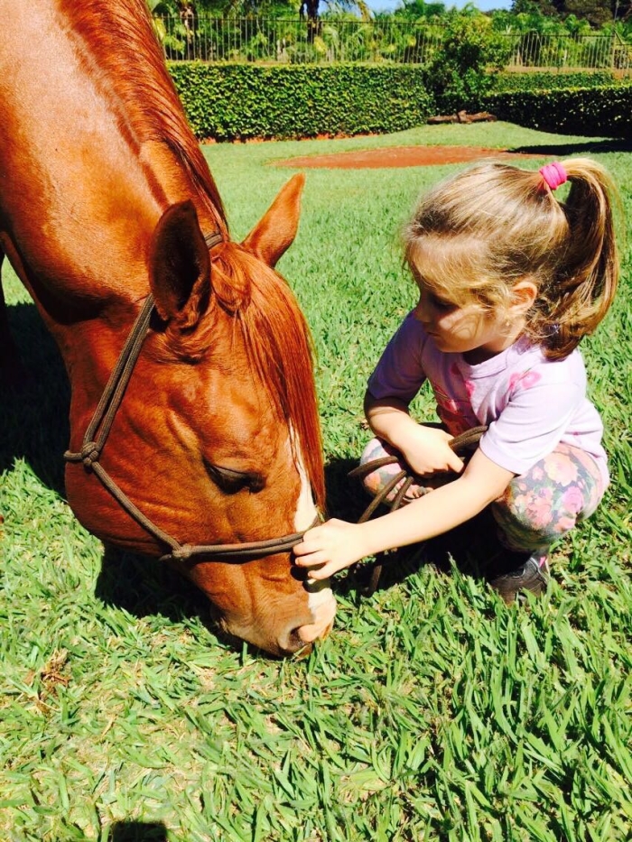 Imagem do dia - Criação de cavalos em Rancho Alegre (PR), na Fazenda Água Nova