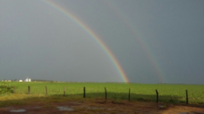 Imagem do dia - Imagem em Aparecida do Rio Negro (TO). Enviada pelo produtor rural João Paulo Gomes de Campos