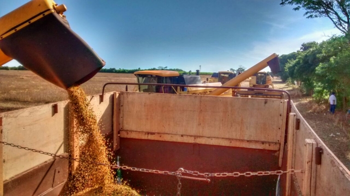 Imagem do dia - Colheita de soja em Iepê (SP), do produtor Zinho Libório