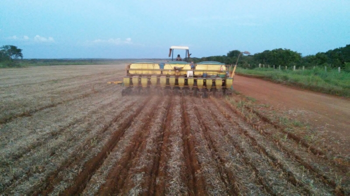 Imagem do dia - Plantio de milho safrinha em Araguacema (TO)