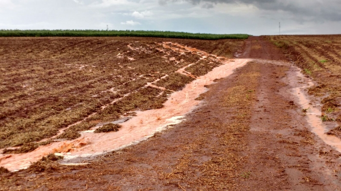 Imagem do dia - Chuvas de verão em Jesuítas (PR). Enviado por Renon Vinícius