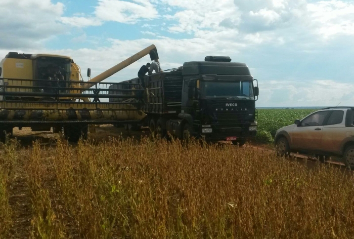 Imagem do dia - Colheita da soja em Tabaporã (MT), da Família Dietrich