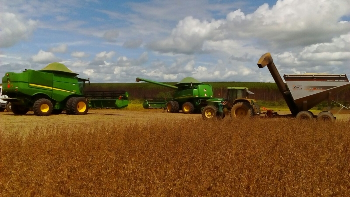 Imagem do dia - Colheita de soja em Iraí de Minas (MG). Enviado pelo Engenheiro Agrônomo Wanderson Martins