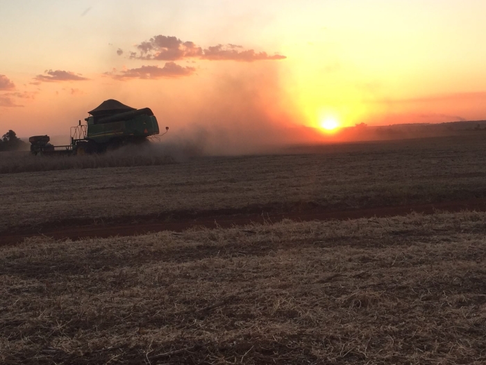 Imagem do dia - Fim da colheita de soja em Nueva Esperanza (PY)