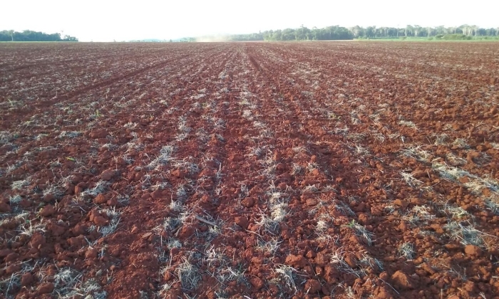 Imagem do dia - Preparo de solo em Cerejeiras (RO), da Família Demarco.